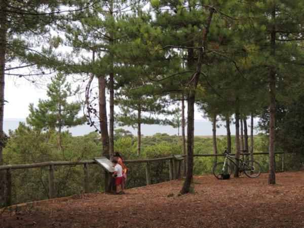 Camping Le Bois Verdon Saint-Jean-de-Monts Kültér fotó